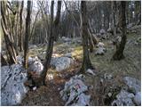 Vitovlje - Vitovski hrib